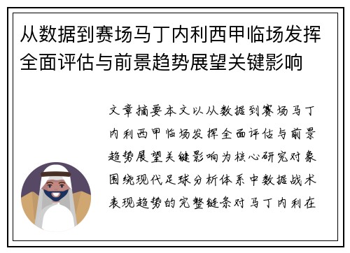 从数据到赛场马丁内利西甲临场发挥全面评估与前景趋势展望关键影响